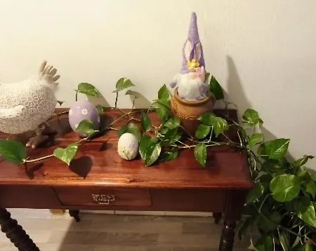 B&B Dandelion
