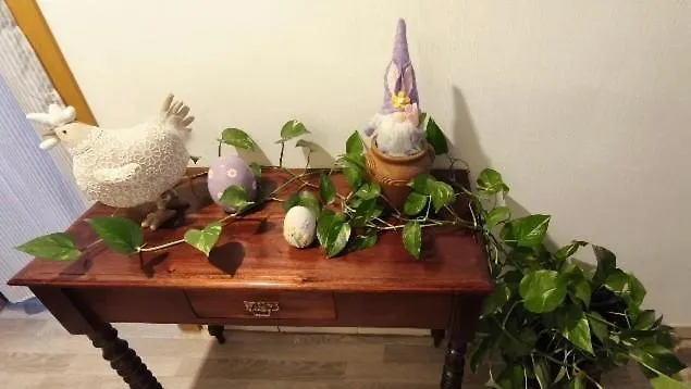 Bed & Breakfast Dandelion